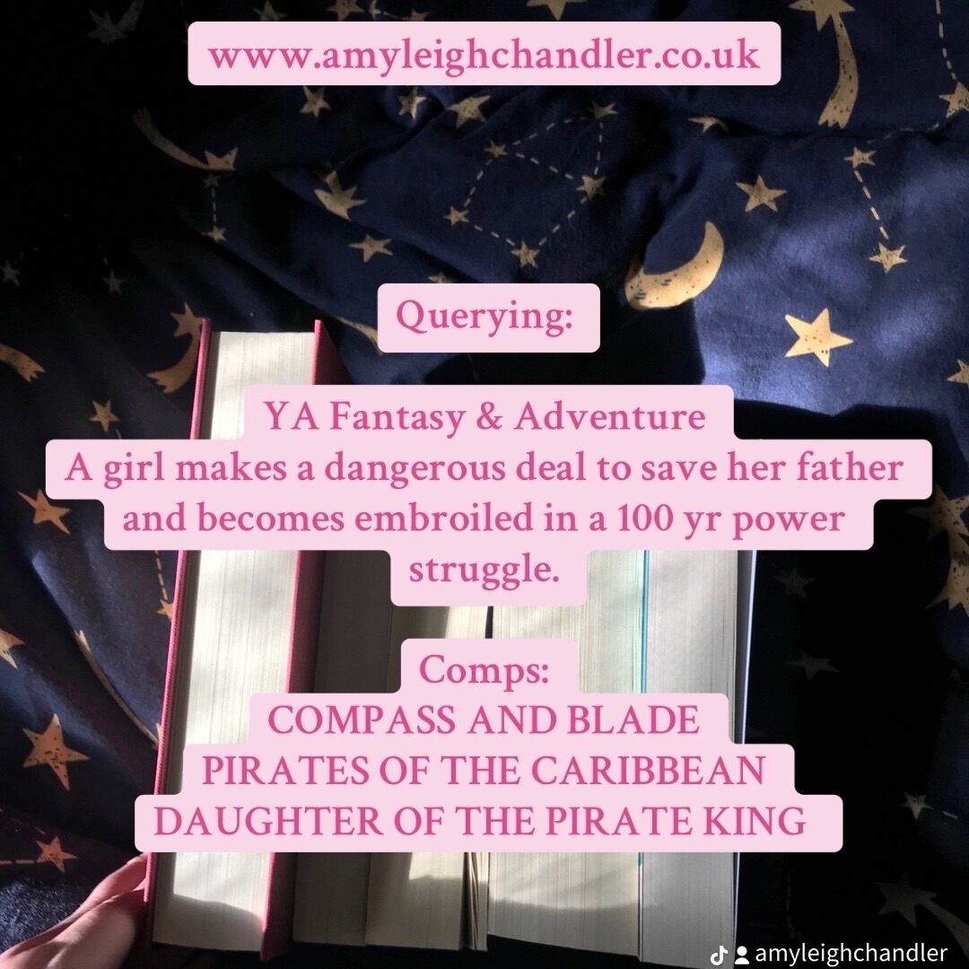 Amy Leigh Chandler's book pitch for a YA adventure fantasy.